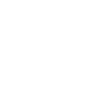 NZ Law